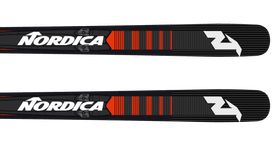 Dobermann DH WC Dept