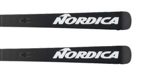 Dobermann GS WC Dept