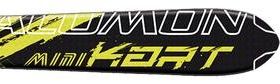 Mini Kart