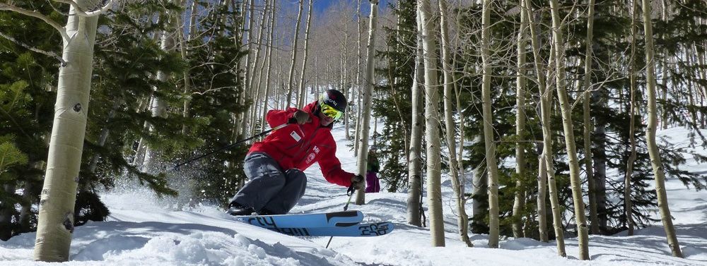 Tree Skiing in Colorado.