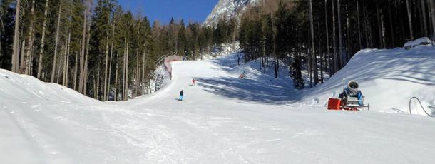 Information about the ski resort Wettersteinbahnen Ehrwald