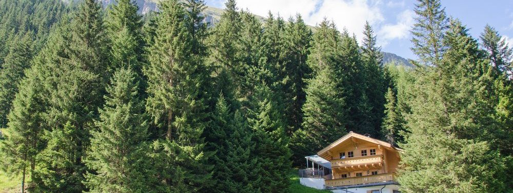 General information about your stay at Forsthaus Maximilian