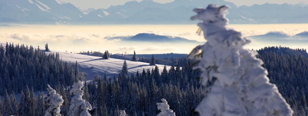 General information about your stay at Hotel Restaurant Sonneck