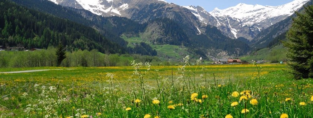 General information about your stay at Nagelehof