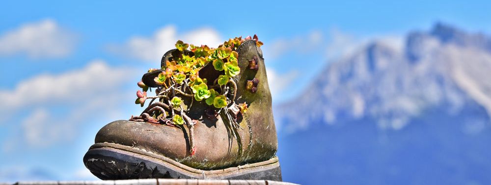 General information about your stay at Panoramahotel Obkircher