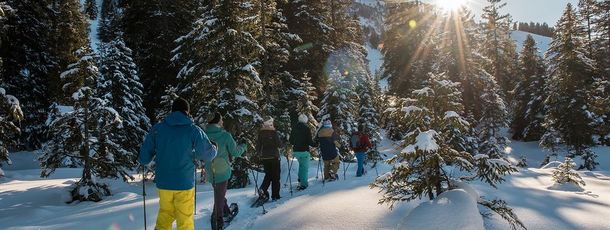 General information about your stay at STUMPS ALPENROSE ****