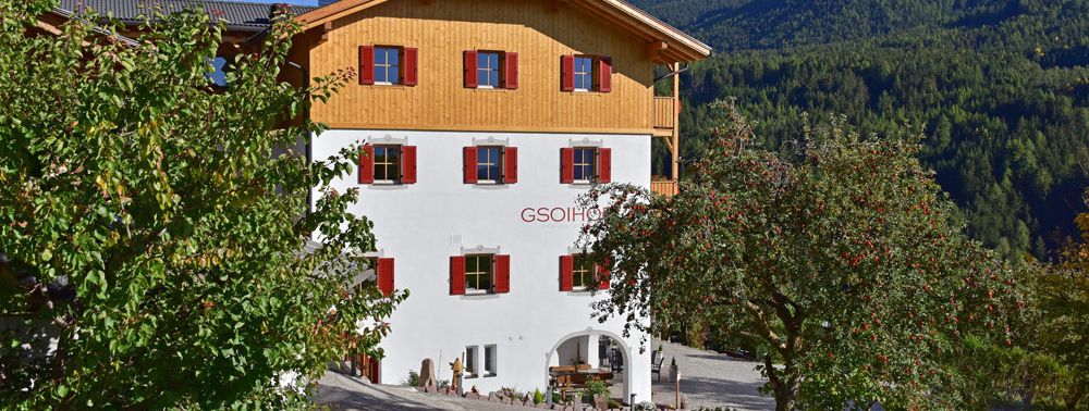 General information about your stay at Hotel Gsoihof