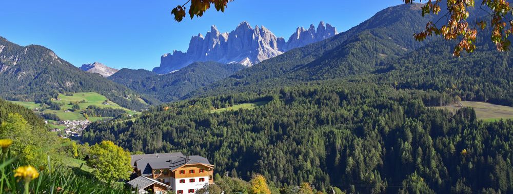 General information about your stay at Hotel Gsoihof