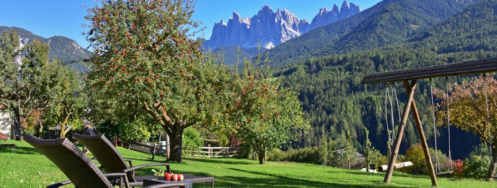 General information about your stay at Hotel Gsoihof