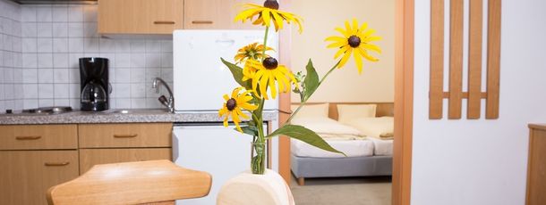 Wohnraum mit Küche - Blick ins Schlafzimmer App 1