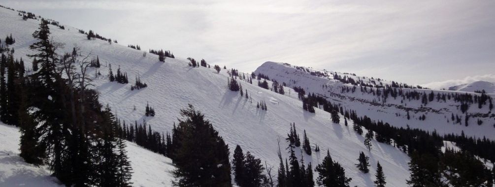 Review about Grand Targhee - Category: Freeride
