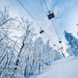 Information about the ski resort Javornik