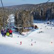 Information about the ski resort Rogla