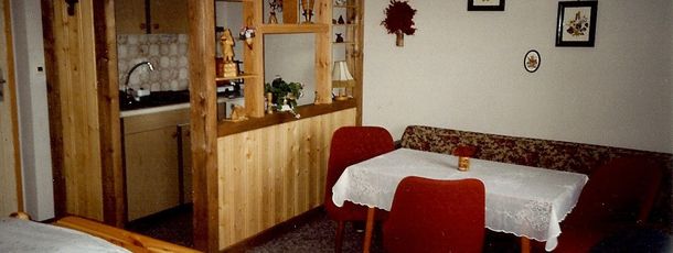 Kombiniertes Zimmer mit Küchenzeile und Essplatz 20 m²