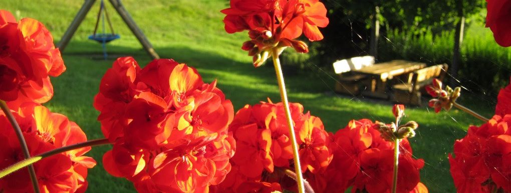 General information about your stay at Erlenhof