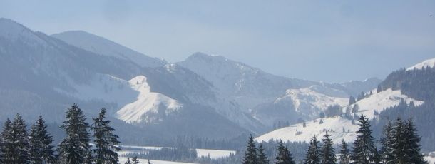 General information about your stay at Pension Florian am Park