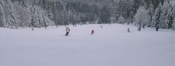 Information about the ski resort Geisskopf