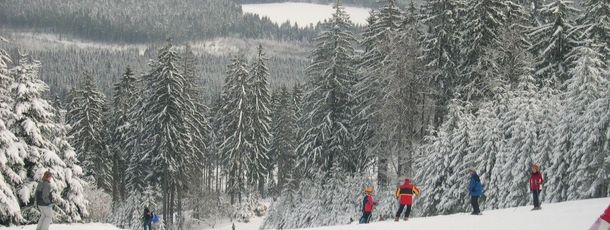 Information about the ski resort Geisskopf