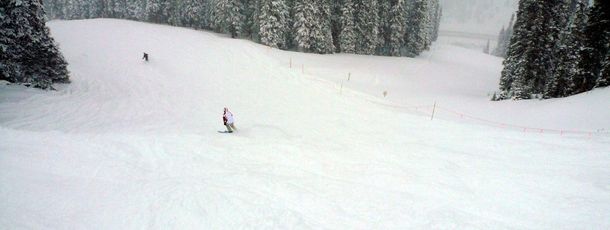 Auf der Forest Meadow