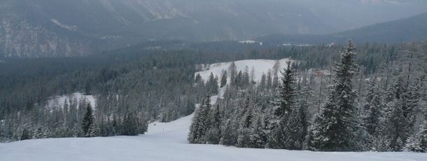 Weißlähn mit Blick zur Gamsalm