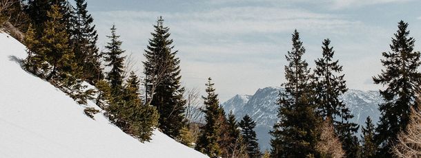 Detaillierte Infos zur Unterkunft Hotel Goldenes Schiff
