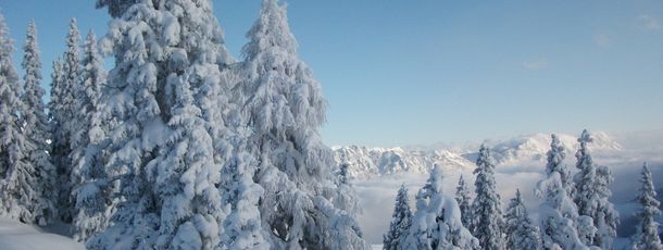 General information about your stay at Apparthotel Ferienhaus Bliem