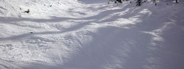 Information about the ski resort Crested Butte