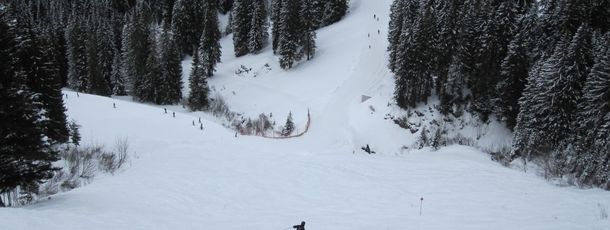 Information about the ski resort Diedamskopf