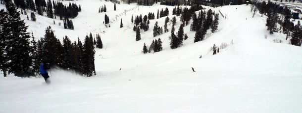 Detaillierte Infos zum Skiurlaub im Skigebiet Solitude