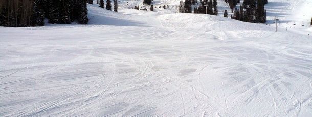 Detaillierte Infos zum Skiurlaub im Skigebiet Solitude