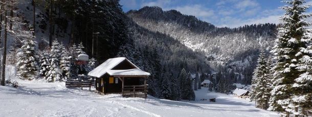 Detaillierte Infos zum Skiurlaub im Skigebiet Wildalpen