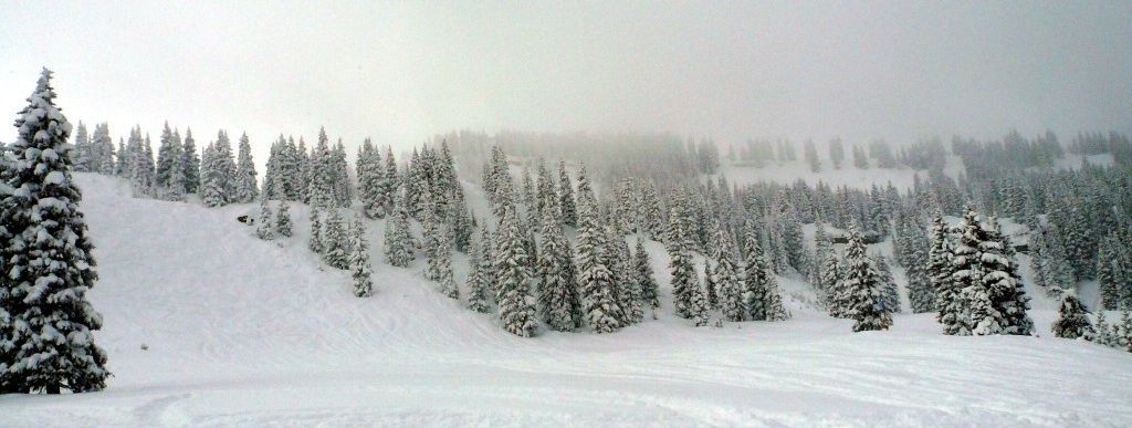 Tree-Skiing ist auch in Vail ein Riesenspaß!