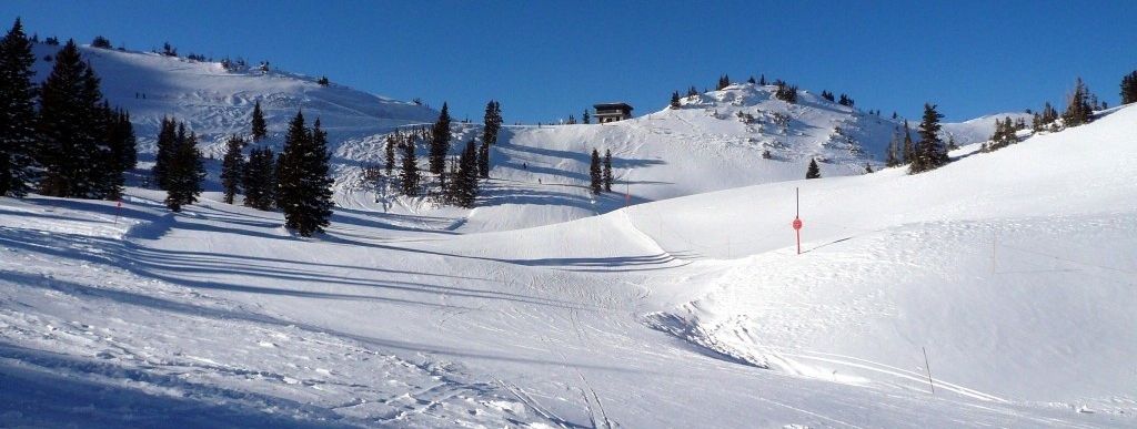 Testbericht Alta zur Kategorie Anfänger