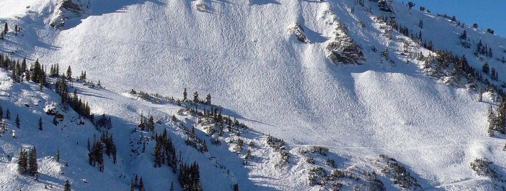 Testbericht Alta zur Kategorie Freeride