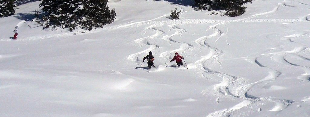 Testbericht Alta zur Kategorie Freeride