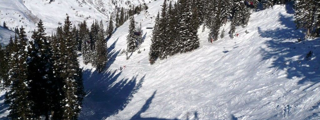 Testbericht Alta zur Kategorie Freeride