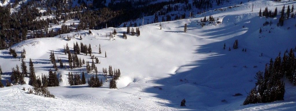 Testbericht Alta zur Kategorie Könner