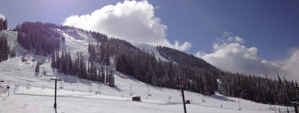 Die sehr einfachen Abfahrten am Molly Hogan Lift sind auch für ungeübte Skifahrer geeignet.