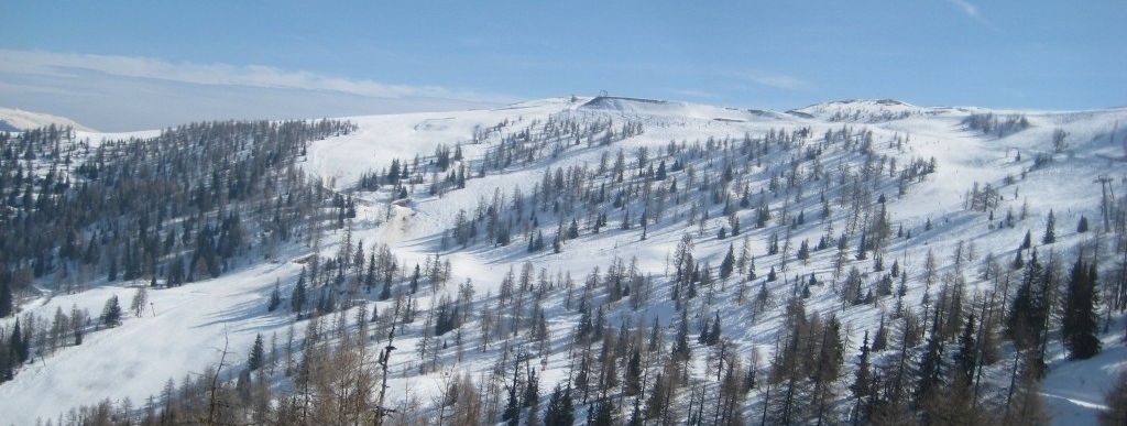 Blick auf das Gebiet um Muldenlift und Hirschsprunglift