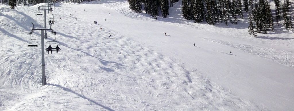 Bestens präpariert oder doch lieber Buckelpiste? Am Paradise Express Lift hat man die Qual der Wahl.