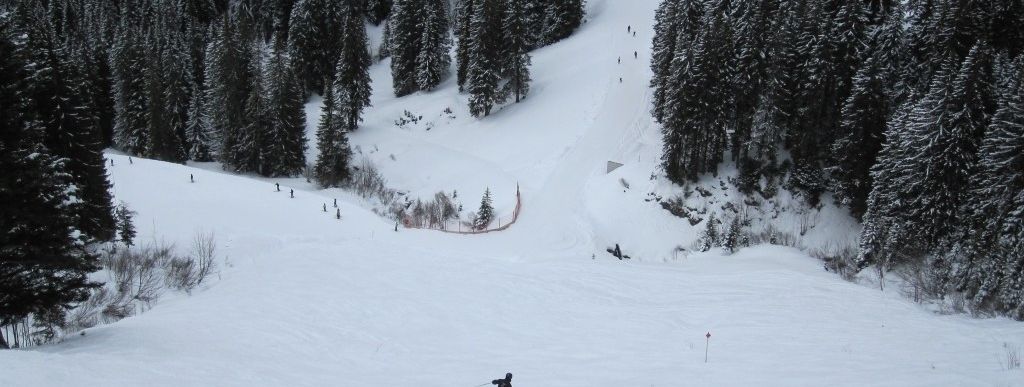 Buckelpiste 3 (Skiroute 3) von der Abfahrt 14 abzweigend!