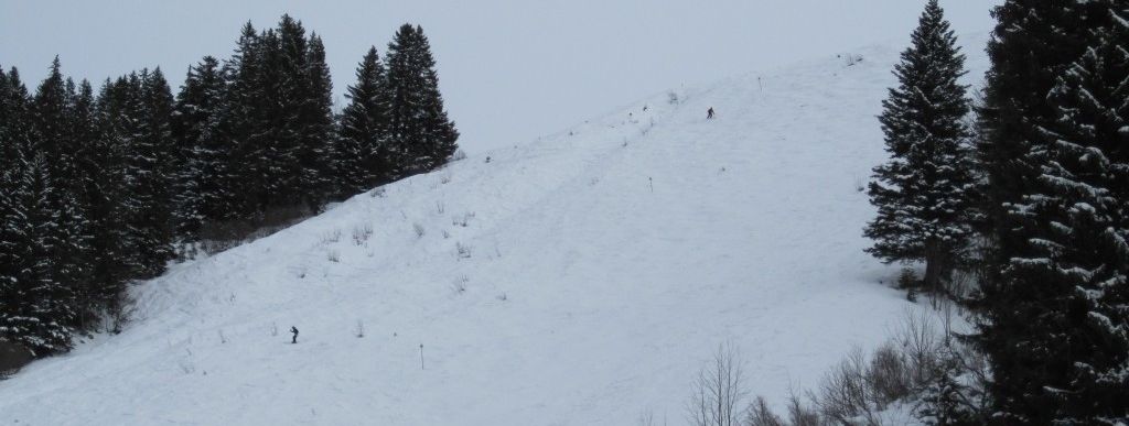 Blick auf die Buckelpiste (Skiroute 3)!