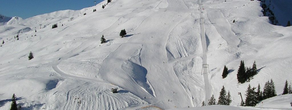 Blick vom Krüzlelift Richtung Panoramabahn!