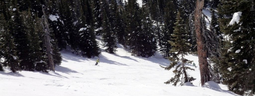 Die Abfahrt Painted Pony führt durch leicht bewaldetes Gebiet.