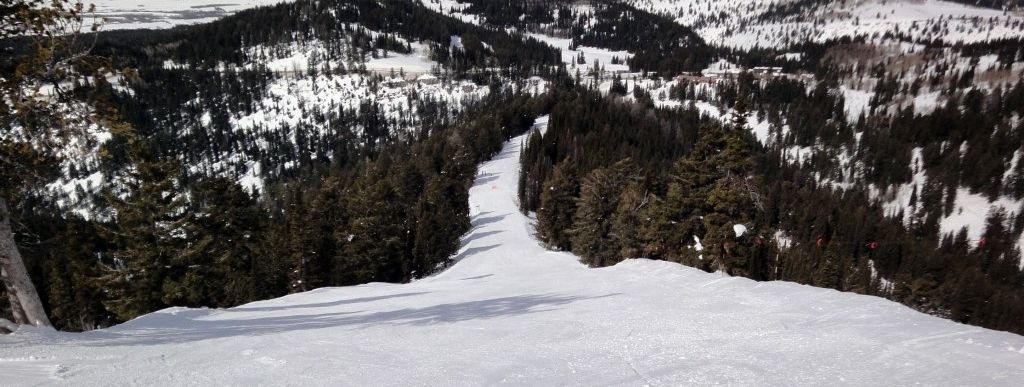 Wie ein Band zieht sich die Carvingpiste Dreamweaver durch die Wälder des Grand Teton Nationalparks.
