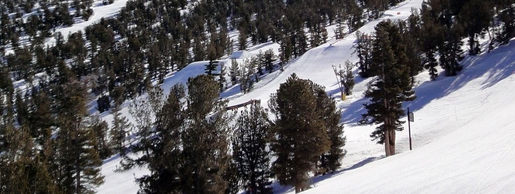 Blick auf den oberen Teil des anspruchsvollsten Funparks im Skigebiet: High Roller Park!