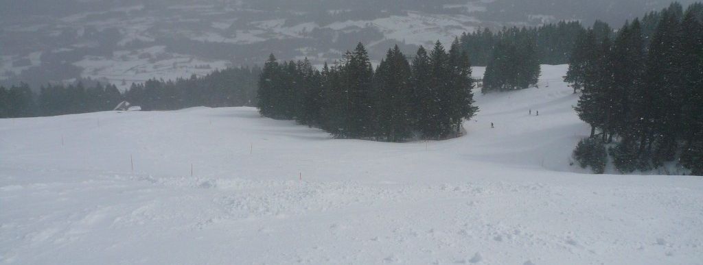 Weiherkopf FIS-Herrenabfahrt!