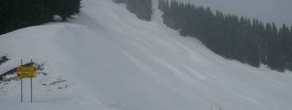Weiherkopf FIS-Herrenabfahrt vom Bolsterlanger Horn (1586 m) aus gesehen!