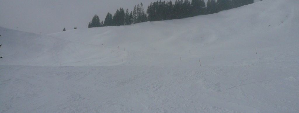 Weiherkopf FIS-Herrenabfahrt!