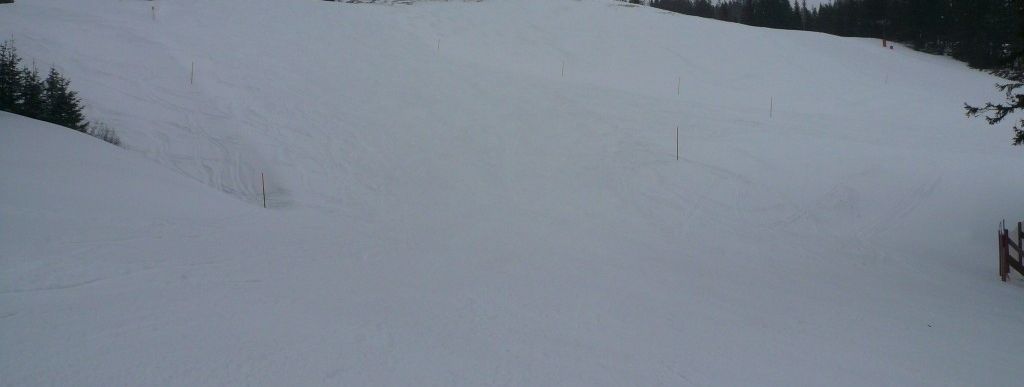 Weiherkopfabfahrt (2)!